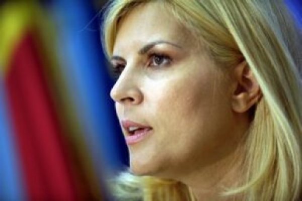 Elena Udrea: Trebuie să ne întoarcem la brandul PDL, la portocaliu